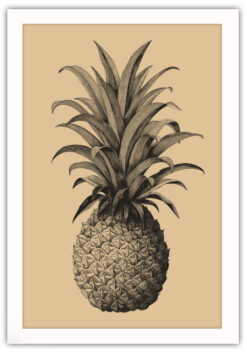 Alternative view of Vintage Ananas Poster