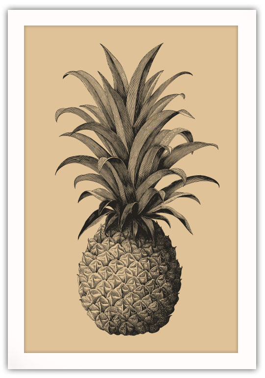 Vintage Ananas Poster