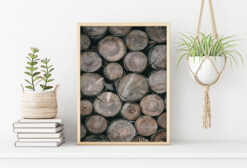 TIMMERSTOCKAR POSTER 50x70cm