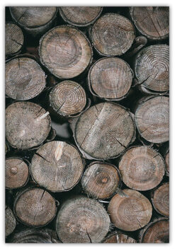 Alternative view of TIMMERSTOCKAR POSTER 50x70cm
