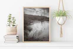 VATTEN OCH VASS poster 50x70cm