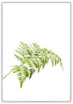 ORMBUNKSBLAD poster 50x70cm - Bild 3