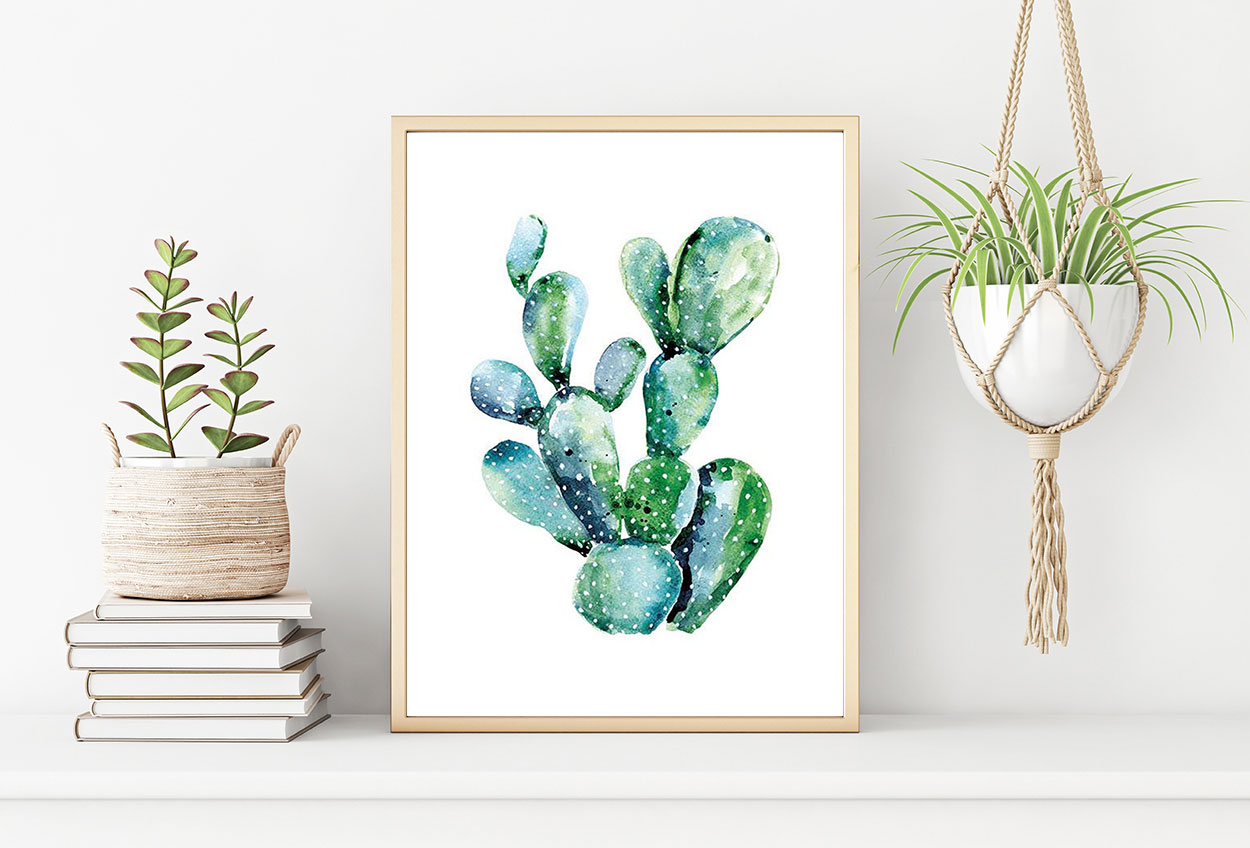 KAKTUS poster 50x70cm