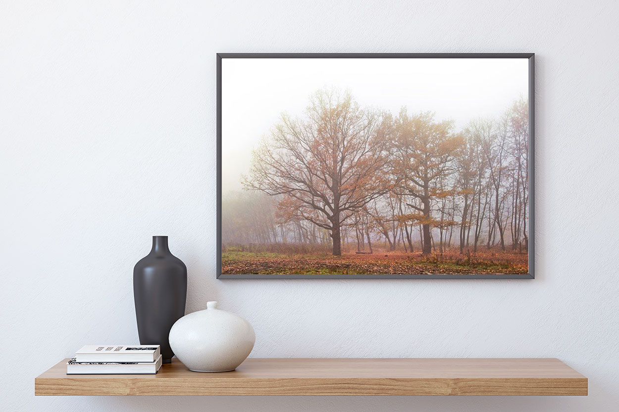 HÖST TRÄD poster 50x70cm