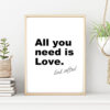 ALL YOU NEED IS LOVE poster 50x70cm