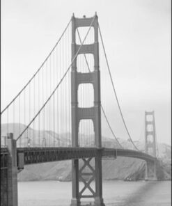 Alternative view of GOLDEN GATE BRIDGE poster (Lager)
