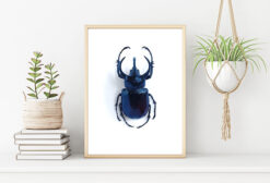 SKALBAGGE poster 50x70cm