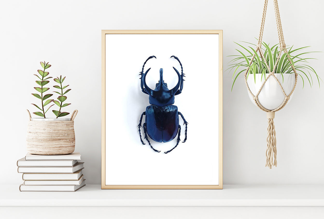 SKALBAGGE poster 50x70cm