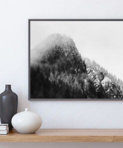 SKOG & KLIPPOR I DIMMA poster (Lager)