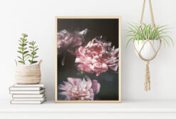 DAHLIOR poster 50x70cm