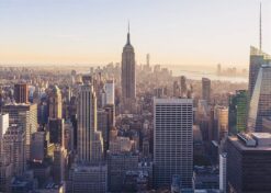 Alternative view of NEW YORK CITY VY poster 50x70cm