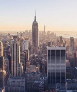 Alternative view of NEW YORK CITY VY poster (Lager)