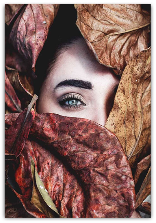 ÖGA I BLADEN poster 50x70cm - Bild 2