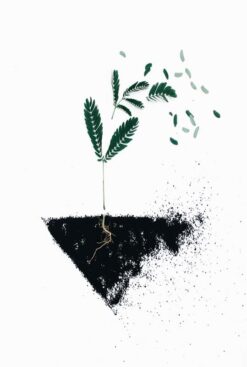 Alternative view of PLANTA MED JORD poster 50x70cm
