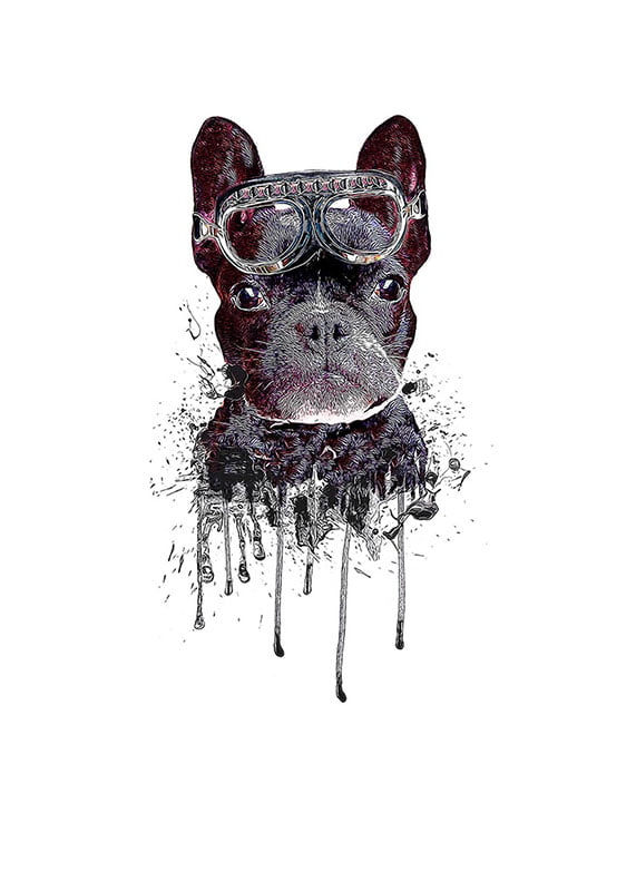 HUND MED GOGGLES poster 50x70cm - Bild 2