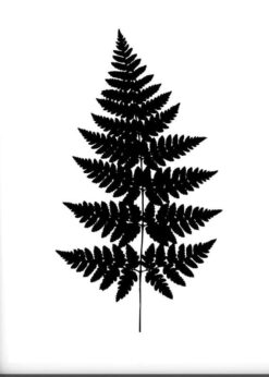 Alternative view of Ormbunksblad 50x70cm