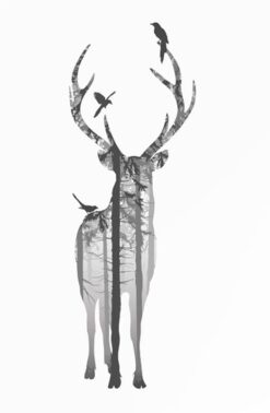 Alternative view of HJORT poster 50x70cm