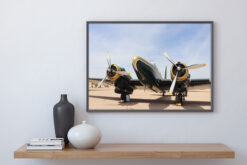 Vintage flygplan, poster