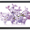 Blommor 21x30cm