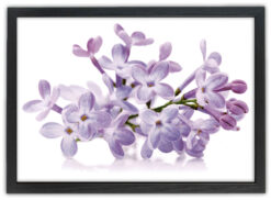 Blommor 21x30cm