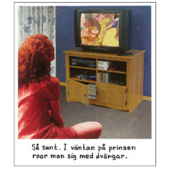 Jan Stenmark magnet PRINSEN