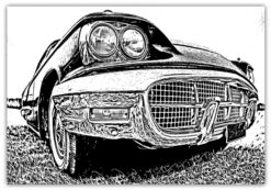 1960 Ford Thunderbird poster