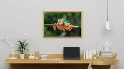 The frogs poster - Bild 3
