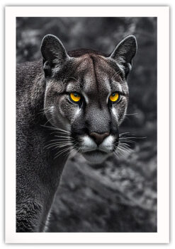 Puma profil poster - Bild 5