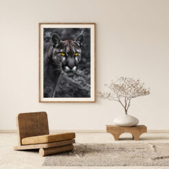 Puma profil poster - Bild 3