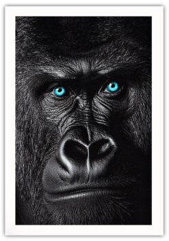 Gorilla poster - Bild 5
